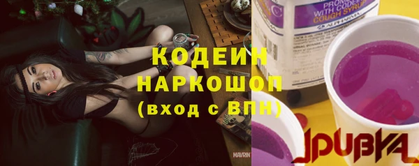 молекула духа Новозыбков