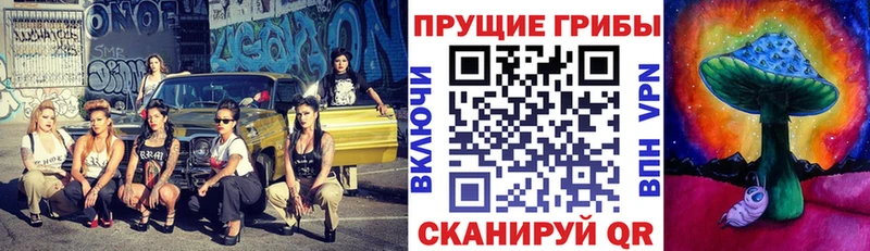 Псилоцибиновые грибы Cubensis  кракен вход  Североморск 